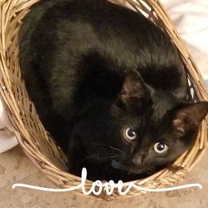 Meet your Posher, Jenny